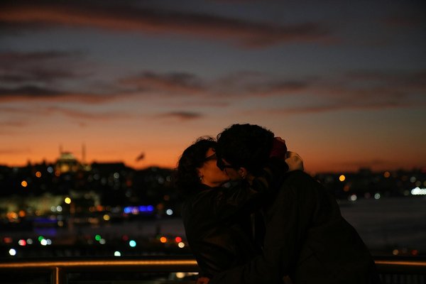 Meilleures options de location d'appartements à houlgate pour vos vacances